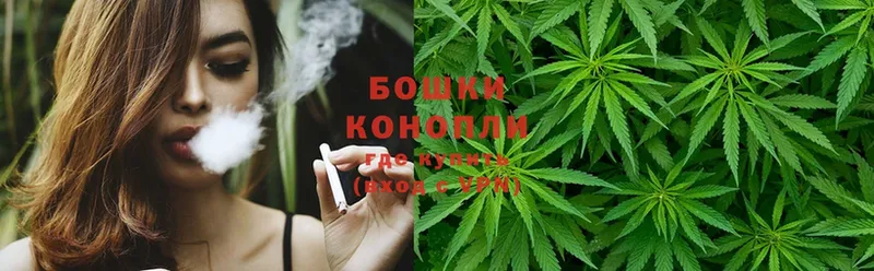 магазин    Гремячинск  Бошки Шишки OG Kush 